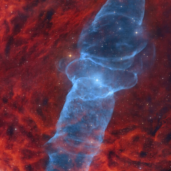 Ani shastry squid nebula