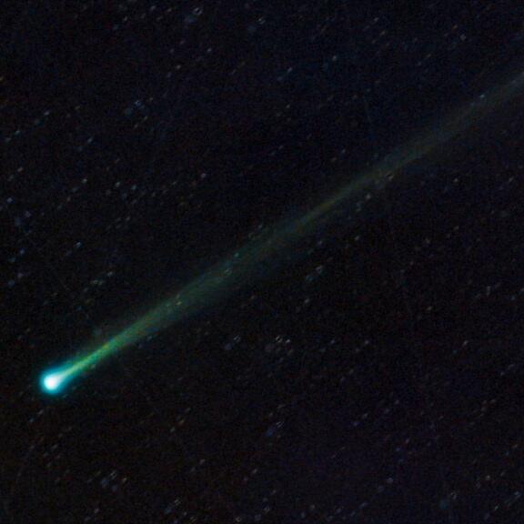 Comet swan brian diettrich